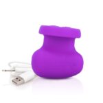 SCREAMING O RUB IT PURPLE RECHARGEABLE VIBRATOR