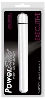 EXECUTIVE 5IN POWER BULLET SILVER