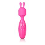 TINY TEASERS BUNNY