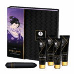 NAUGHTY GEISHA COLLECTION KIT