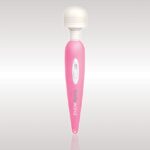 BODYWAND PINK USB (NET)