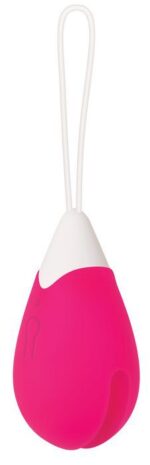RECHARGEABLE EGG PINK VIBRATOR REMOTE CONTROL