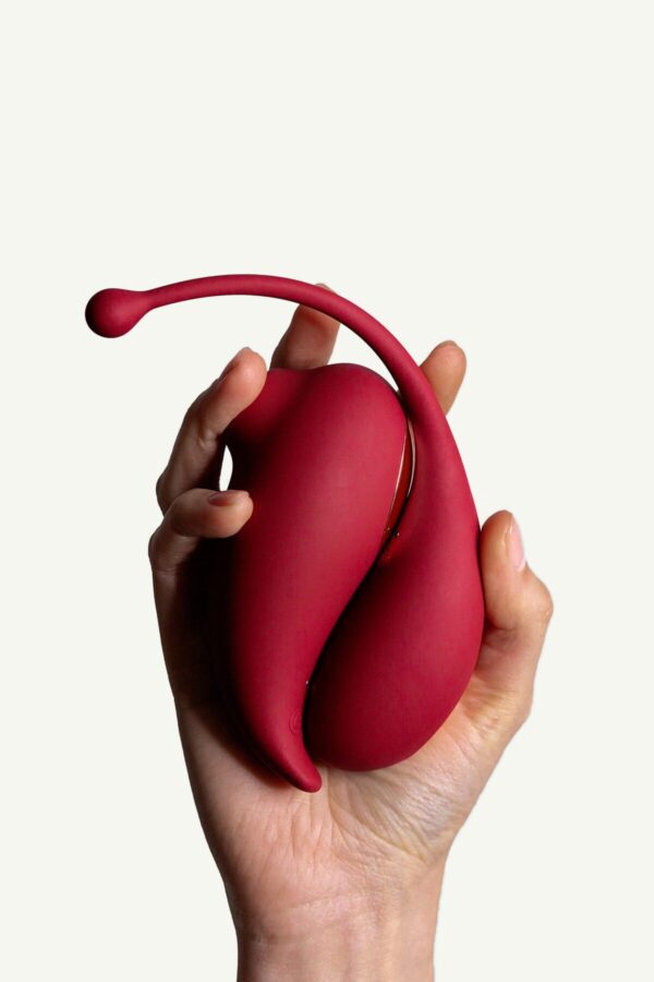 ADRIEN LASTIC INSPIRATION - Image 6